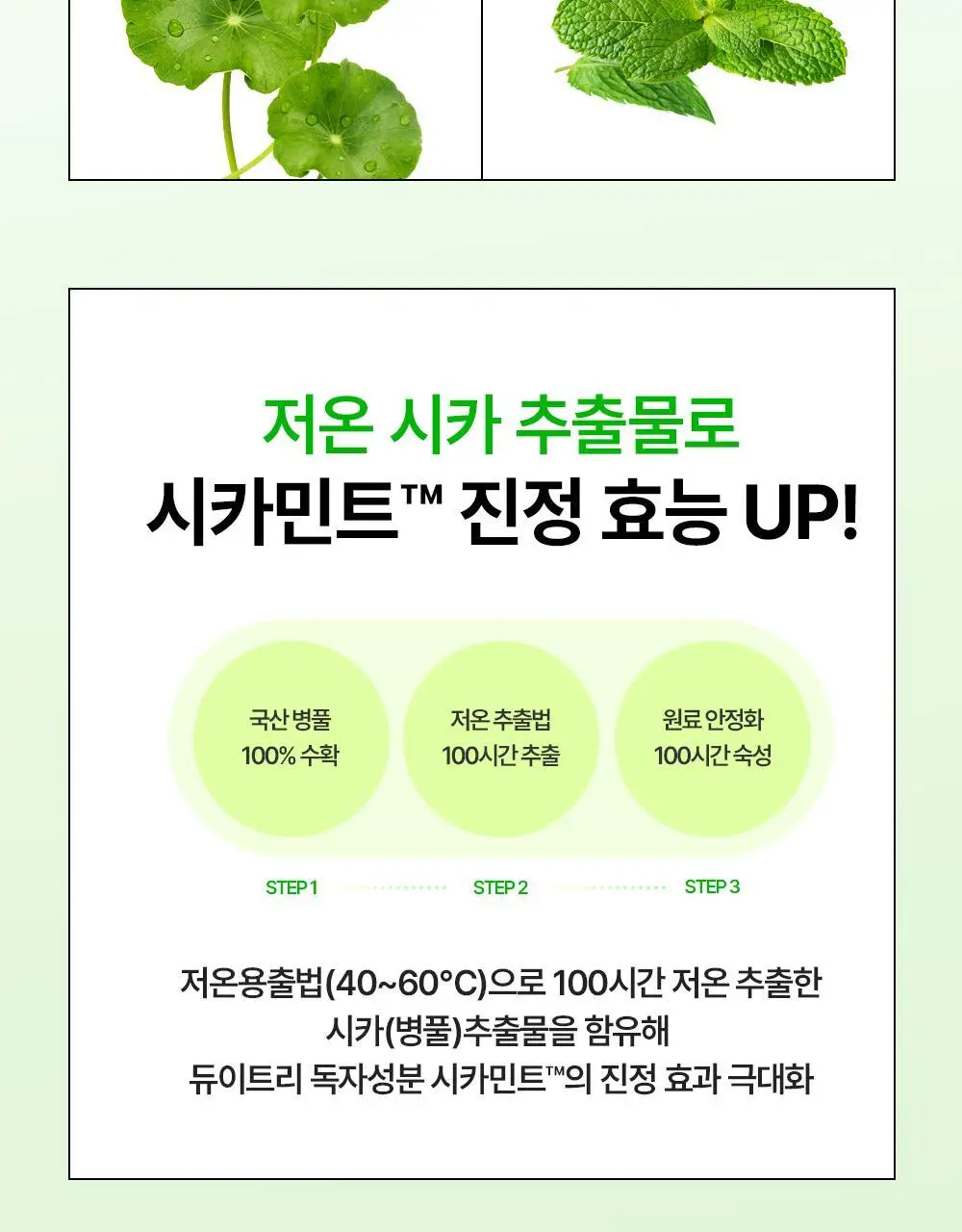 [잡티앰플] 듀이트리 AC 딥 흔적 진정 앰플 60ml 기획 (+잡티패드 6매) 상세페이지 34